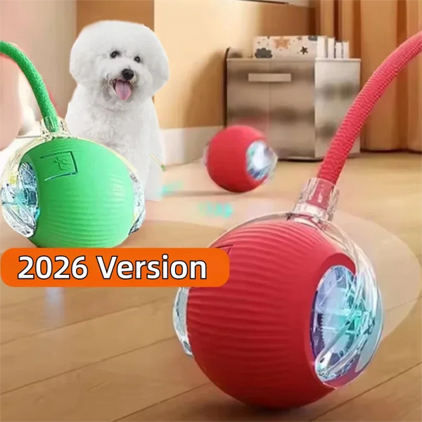 SmartSpin Auto-Rolling Dog Ball